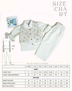 3-piece white ball suit set from laadindia ! Crisp cotton shirt, 100% cotton waistcoat with intricate details & silk Chanderi pyjama. Hand-embroidered, titalee motif adds charm.